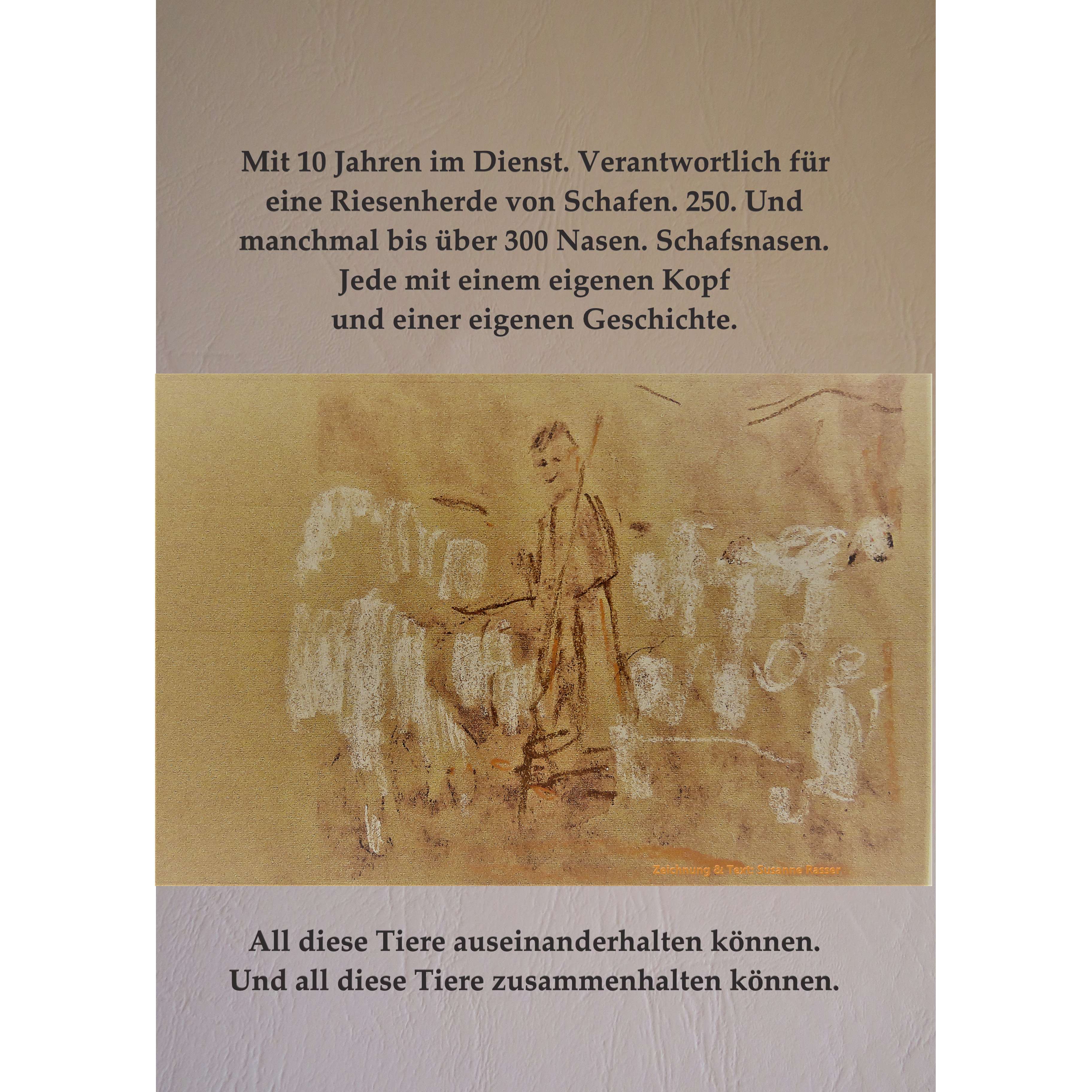Schaf Ausstellung